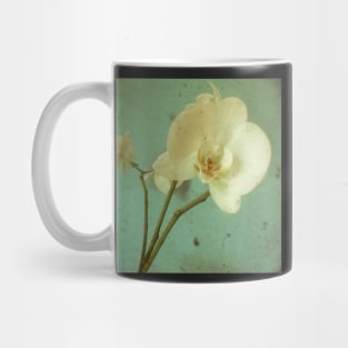 Morning Glory Mug